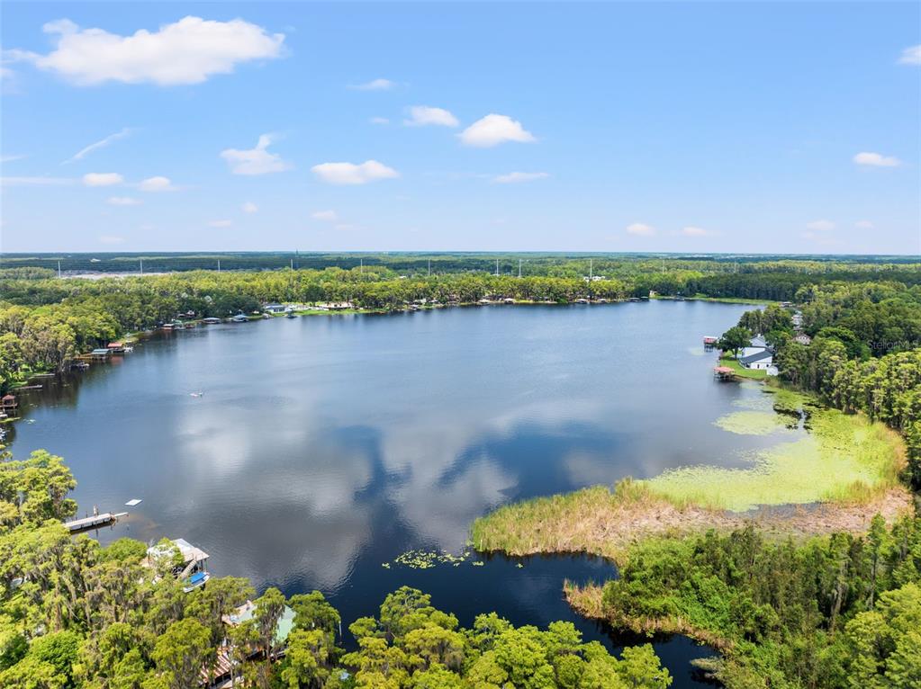 18205 Griffith Road Lutz, FL 33548 - Photo 46 of 46