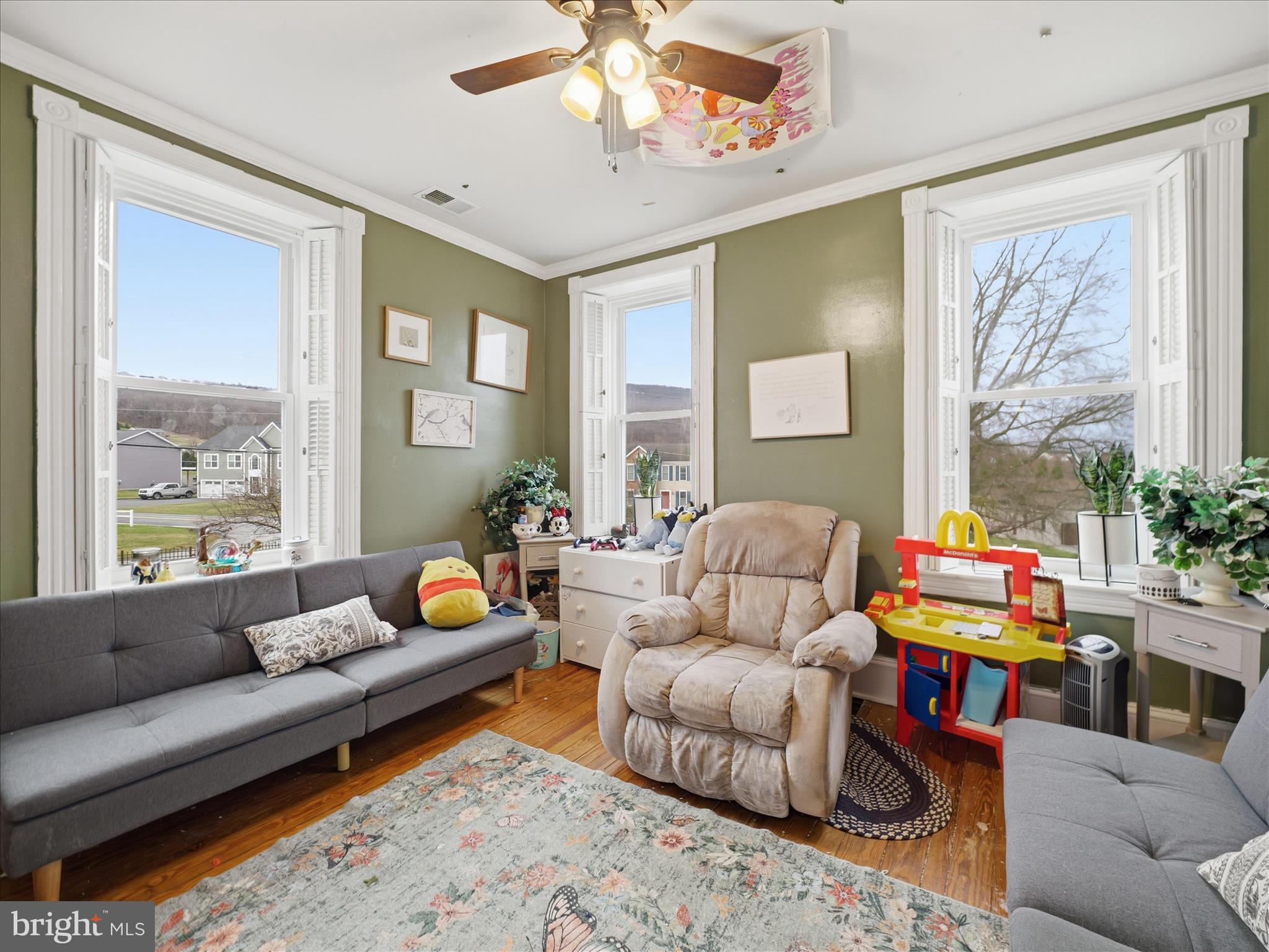 14147 Lower Edgemont Road Waynesboro, PA 17268 - Photo 22 of 45 a living room with furniture and a potted plant