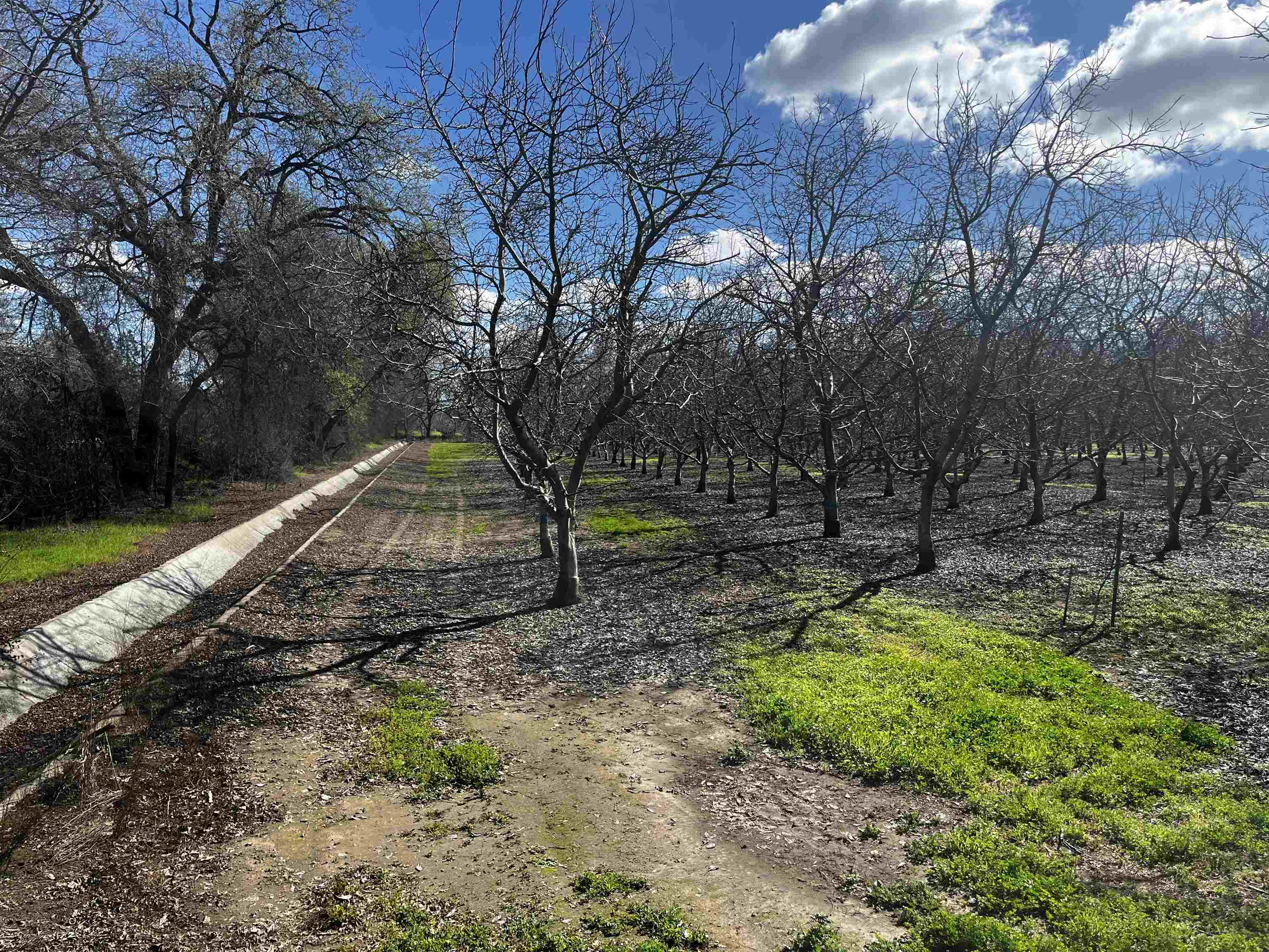 3900 Stephens Road Corning, CA 96021 - Photo 12 of 23
