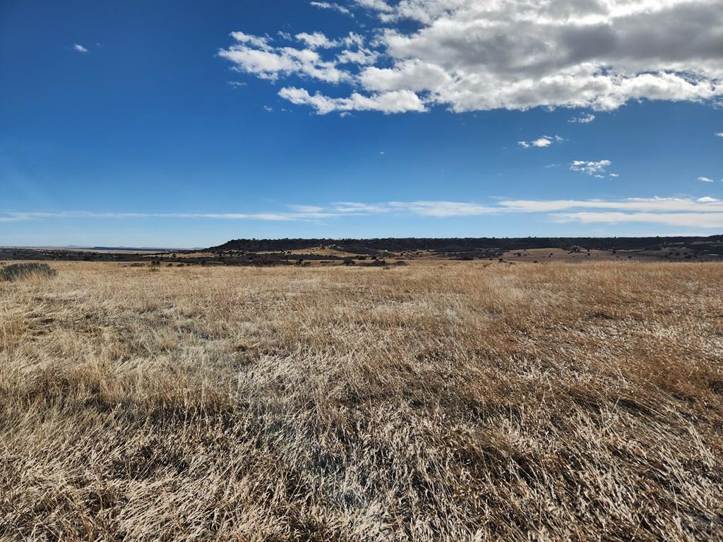 Tbd Moon Drive Rye, CO 81069 - Photo 6 of 7