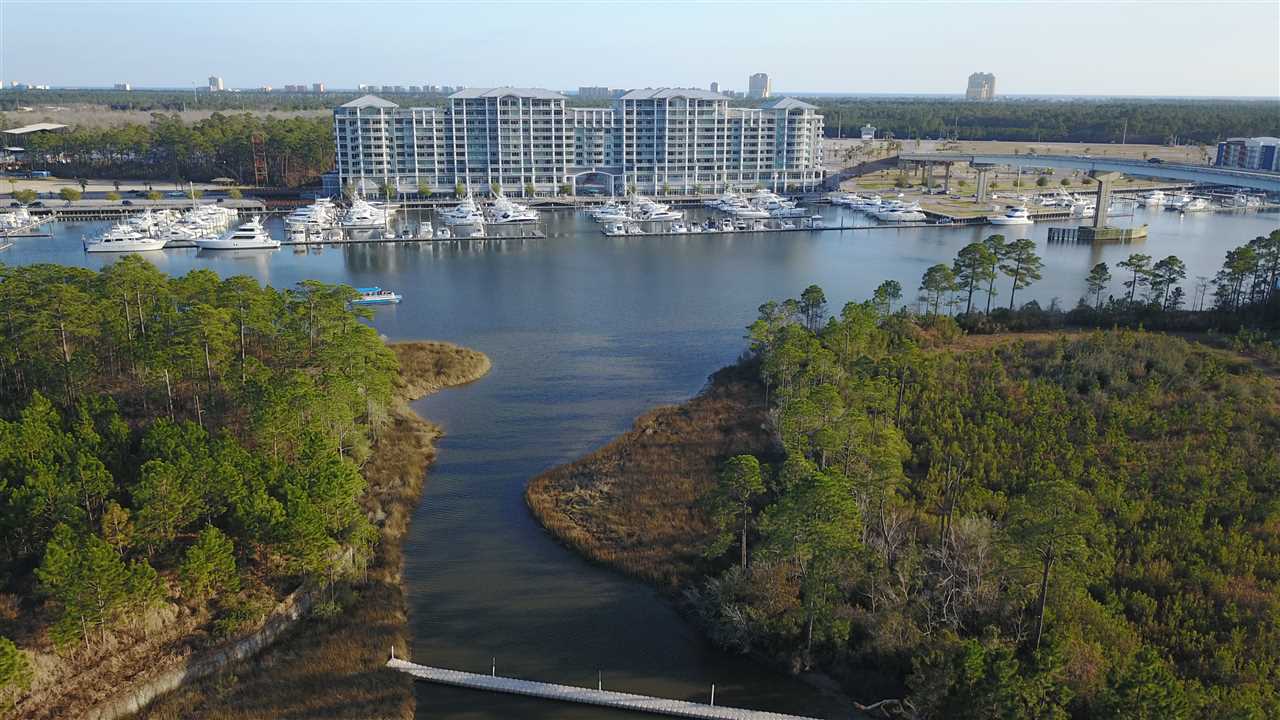 0 Baldwin Beach Expressway Orange Beach, AL 36561 - Photo 6 of 8