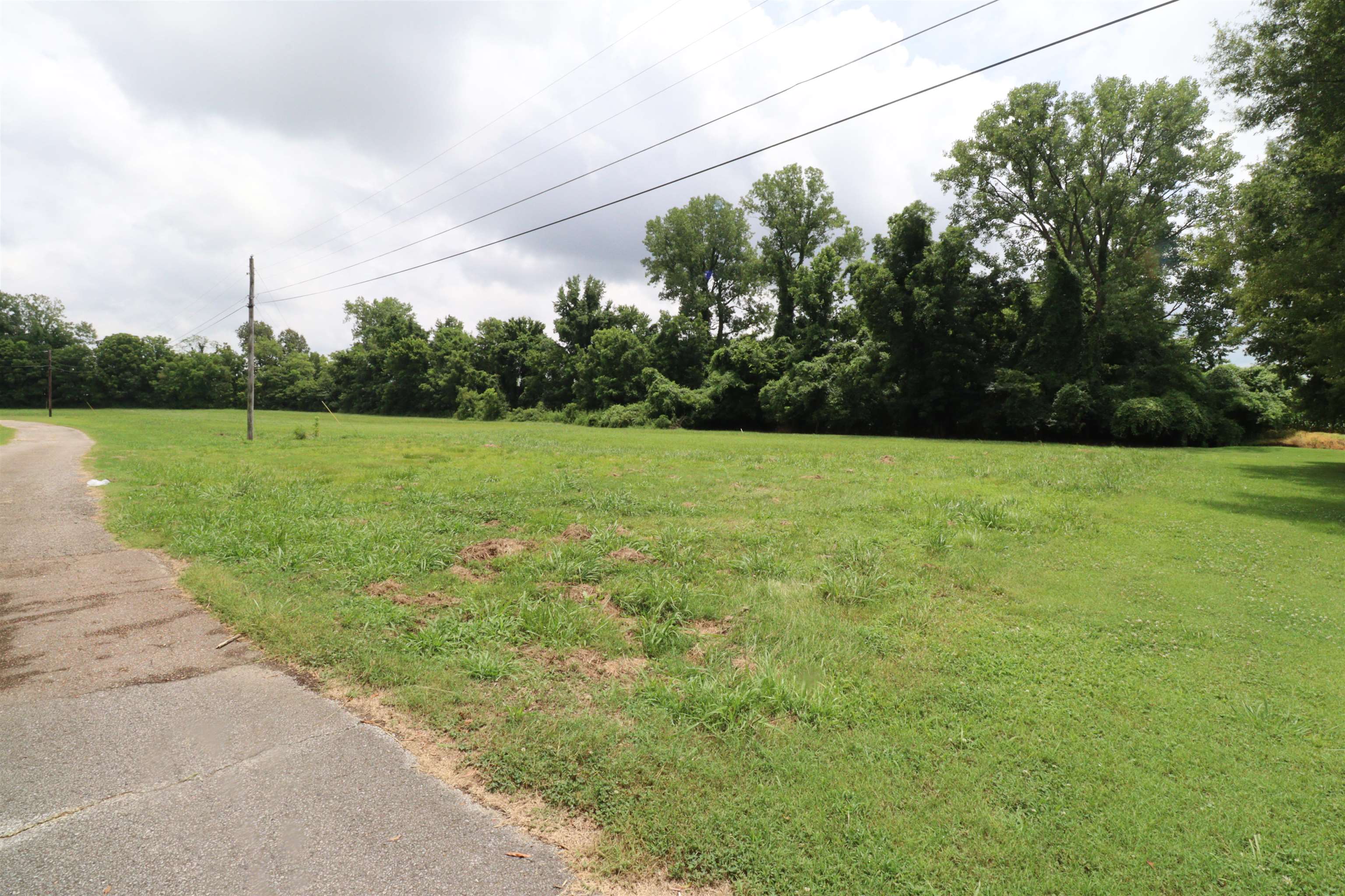 0 Edith-Nankipoo Road Ripley, TN 38063 - Photo 5 of 7 a view of a field with a tree in the background