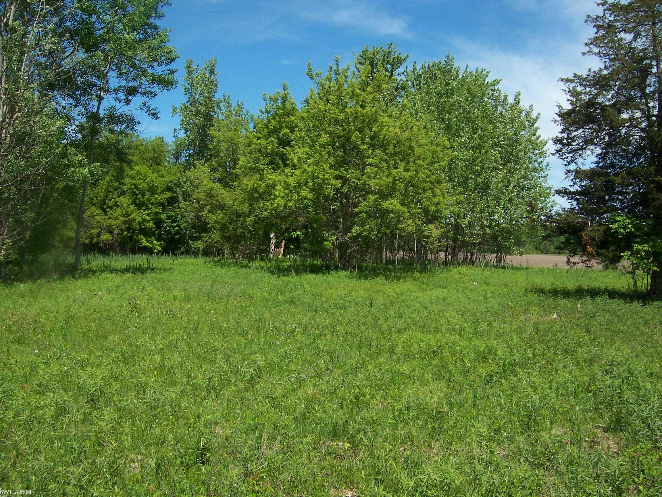 Lot 1 Lapeer Road Port Huron, MI 48060 - Photo 1 of 2