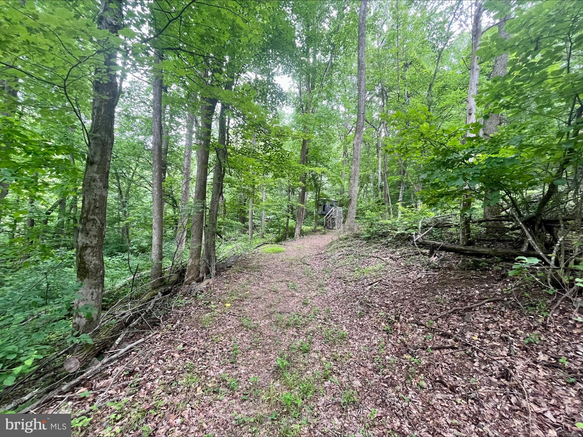 Paris Road Stanley, VA 22851 - Photo 1 of 17 Gallery Image 1