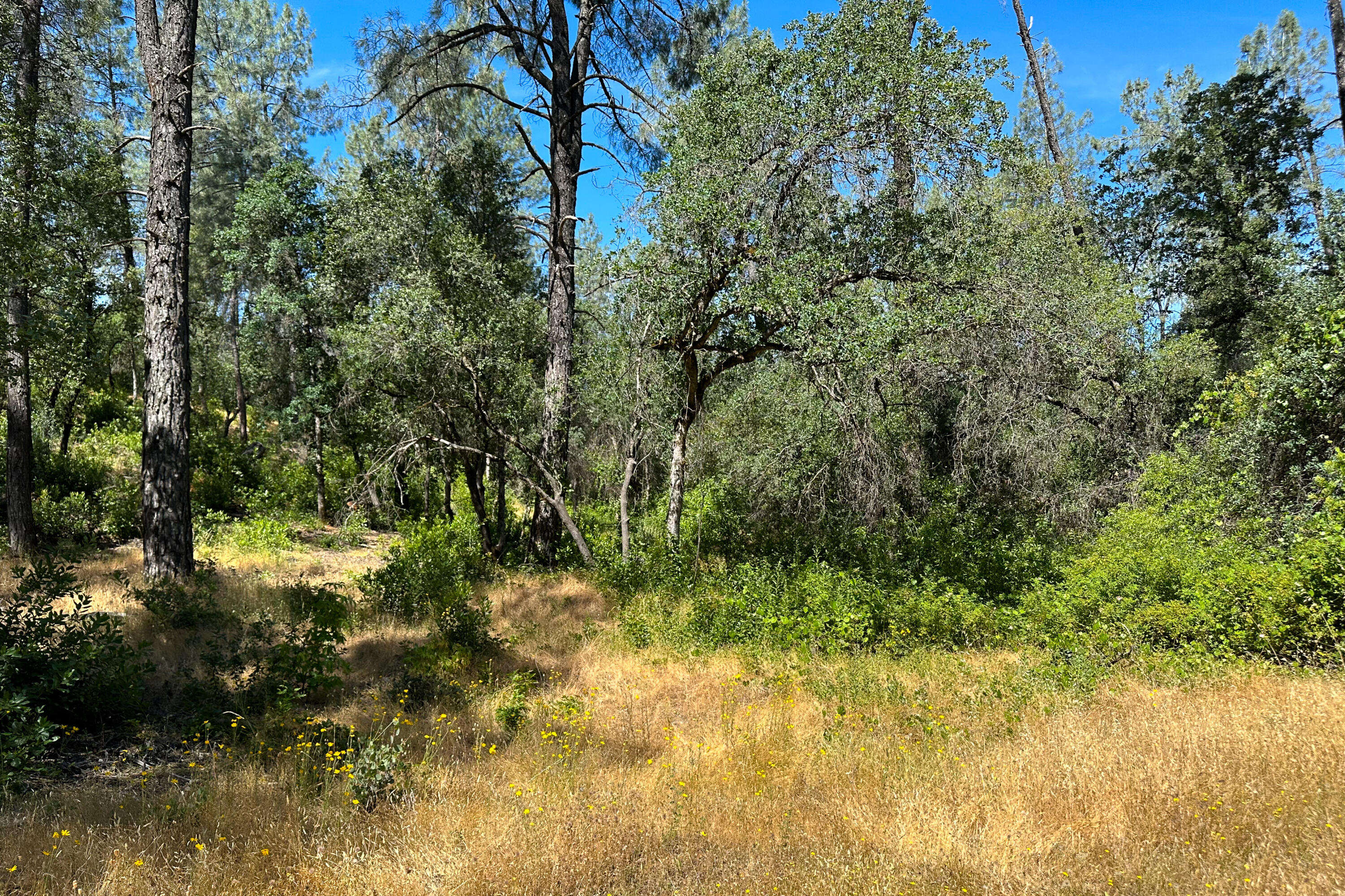 9200 Silver King Road Redding, CA 96001 - Photo 11 of 14 Photo 203080024 Q