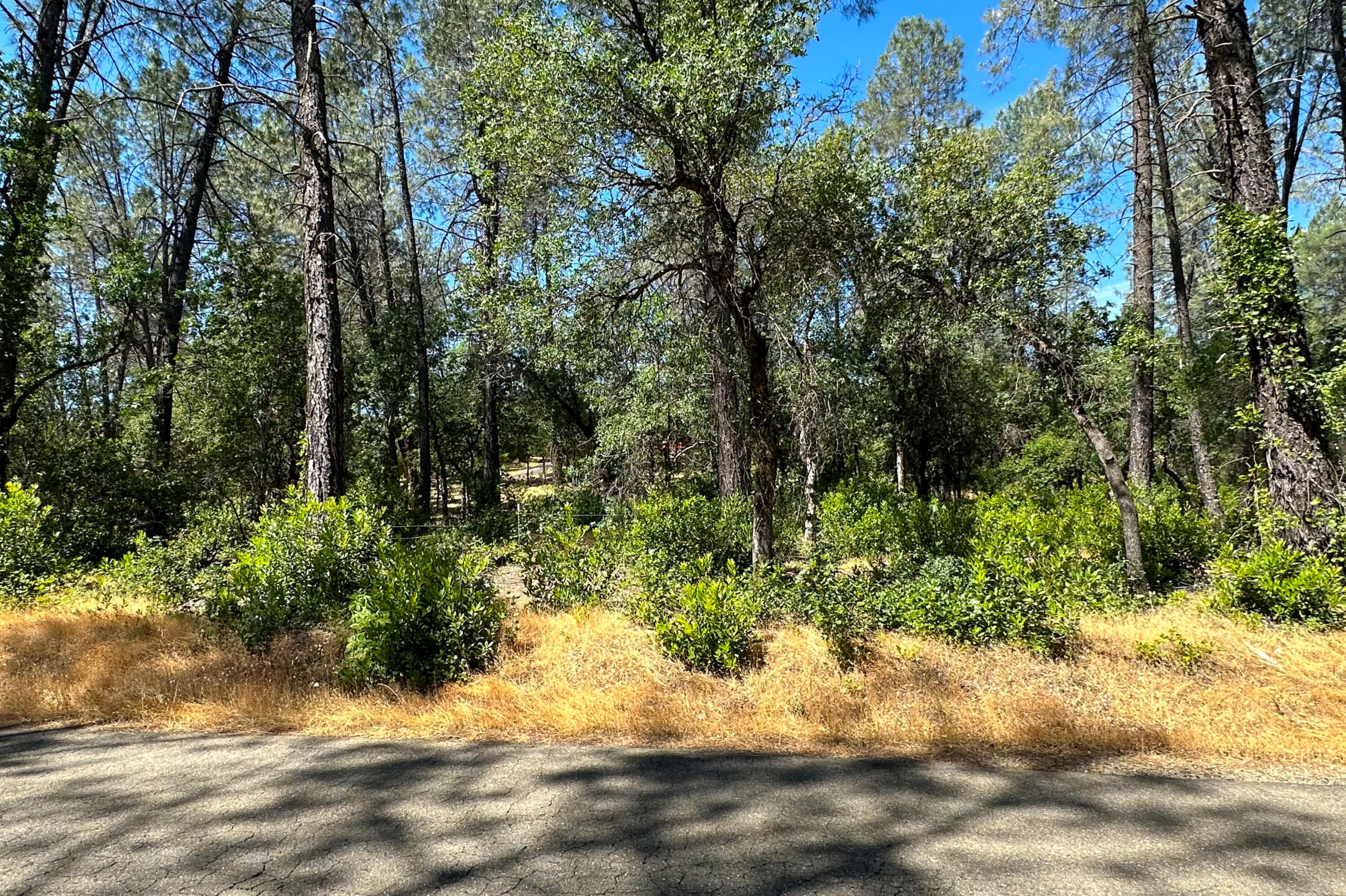 9200 Silver King Road Redding, CA 96001 - Photo 3 of 14 Photo 203080024 S