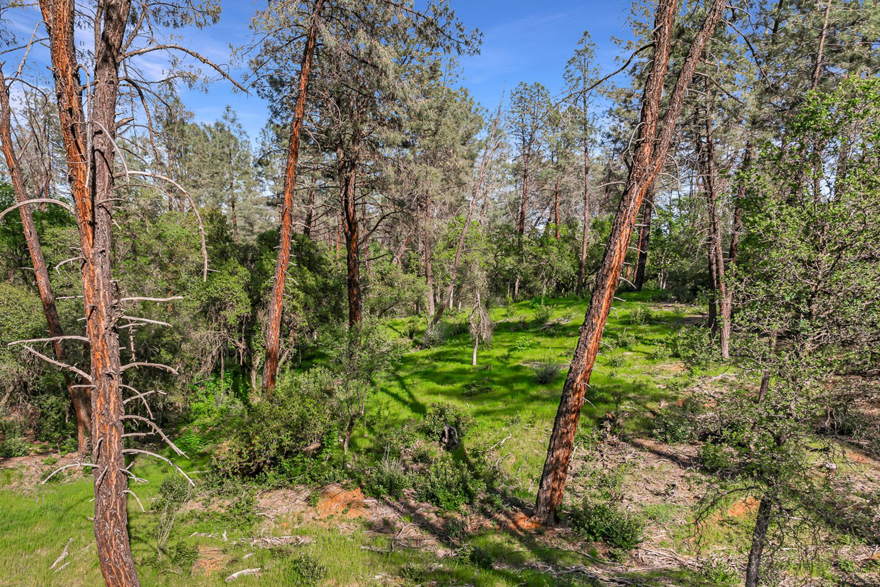 9200 Silver King Road Redding, CA 96001 - Photo 4 of 14 Photo 203080024 C