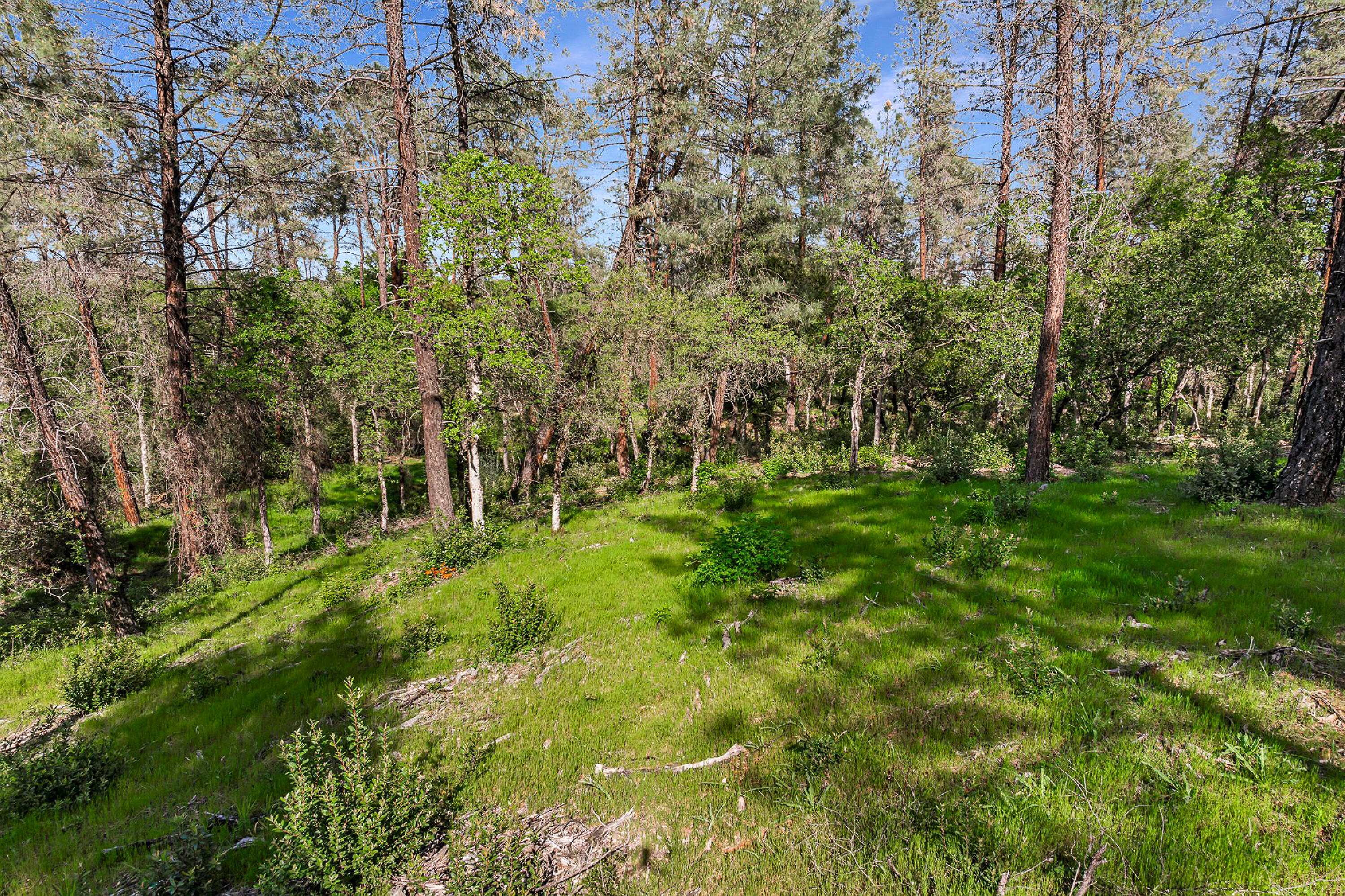 9200 Silver King Road Redding, CA 96001 - Photo 5 of 14 Photo 203080024 D