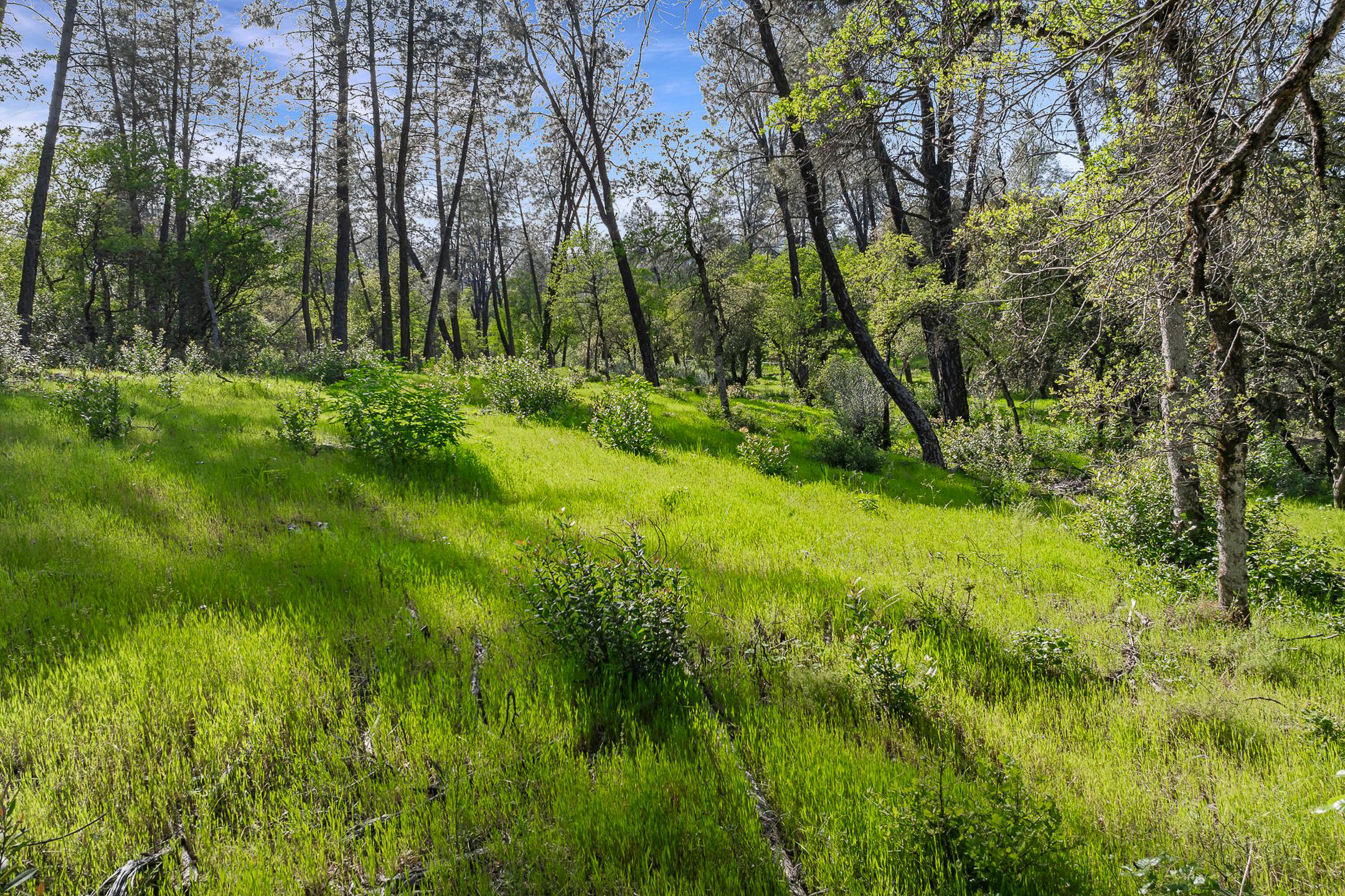 9200 Silver King Road Redding, CA 96001 - Photo 6 of 14 Photo 203080024 E