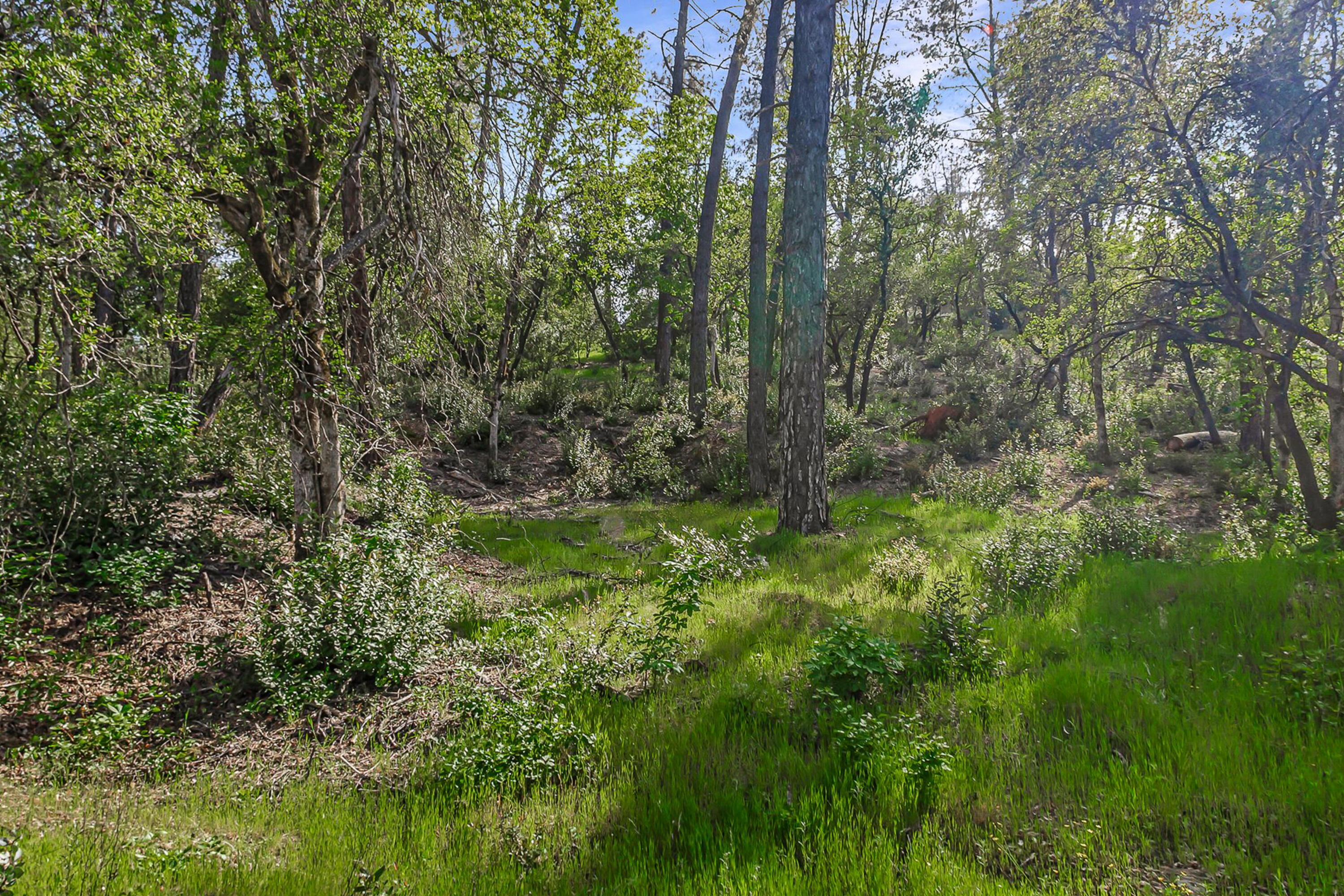 9200 Silver King Road Redding, CA 96001 - Photo 9 of 14 Photo 203080024 L