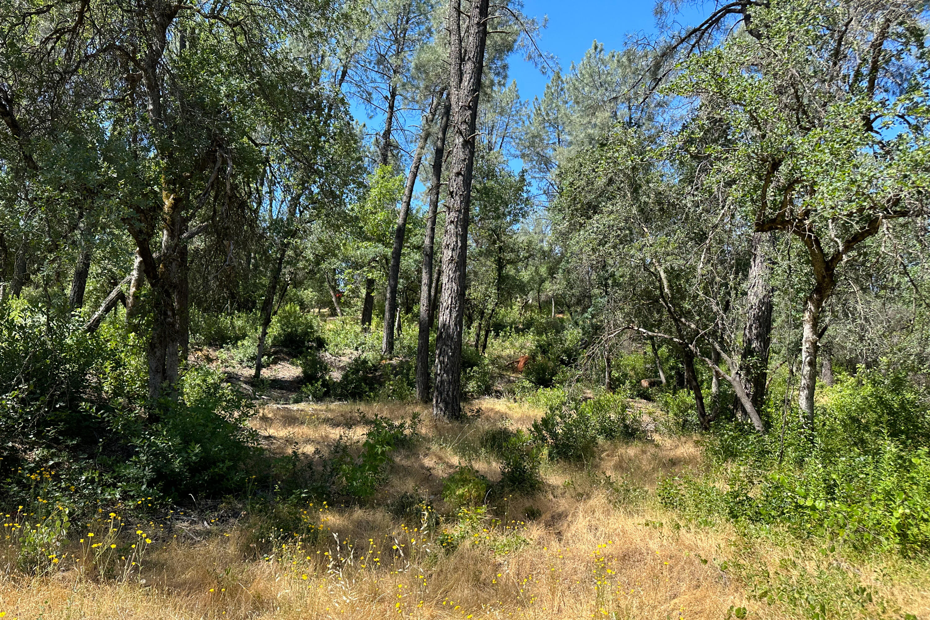 9200 Silver King Road Redding, CA 96001 - Photo 10 of 14 Photo 203080024 P