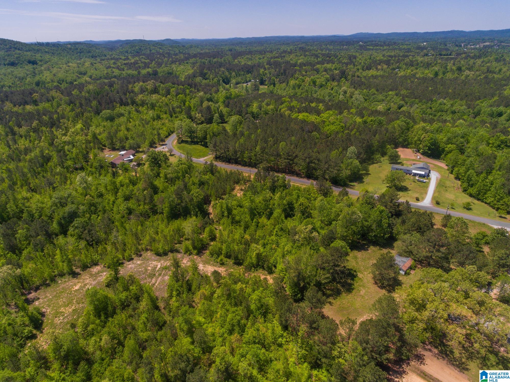 1326 Pine Ridge Road Wellington, AL 36279 - Photo 6 of 15