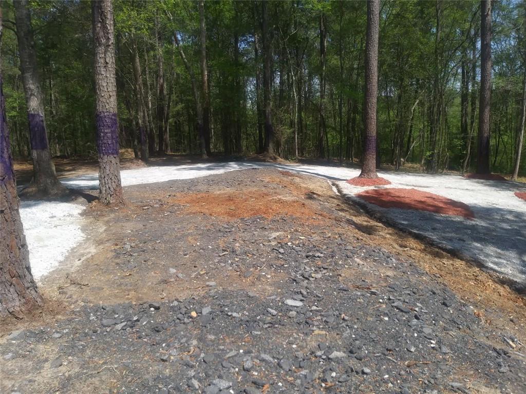 3107 Riviera Drive Conyers, GA 30012 - Photo 12 of 20