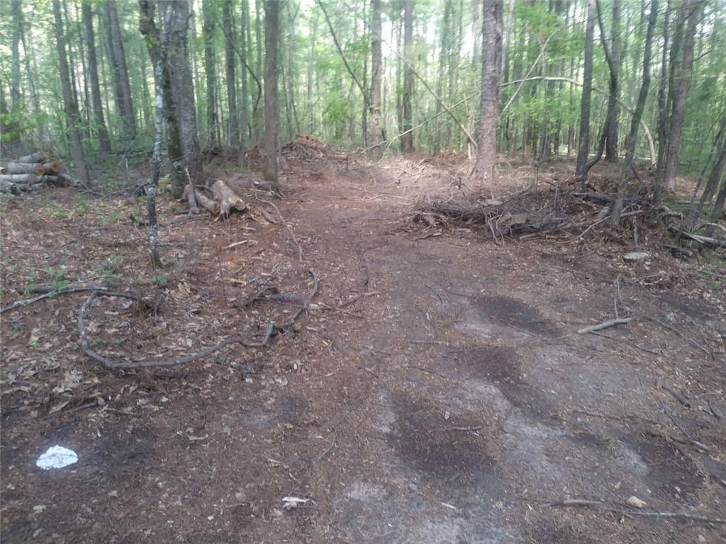 3107 Riviera Drive Conyers, GA 30012 - Photo 14 of 20