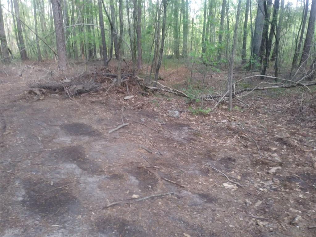 3107 Riviera Drive Conyers, GA 30012 - Photo 15 of 20