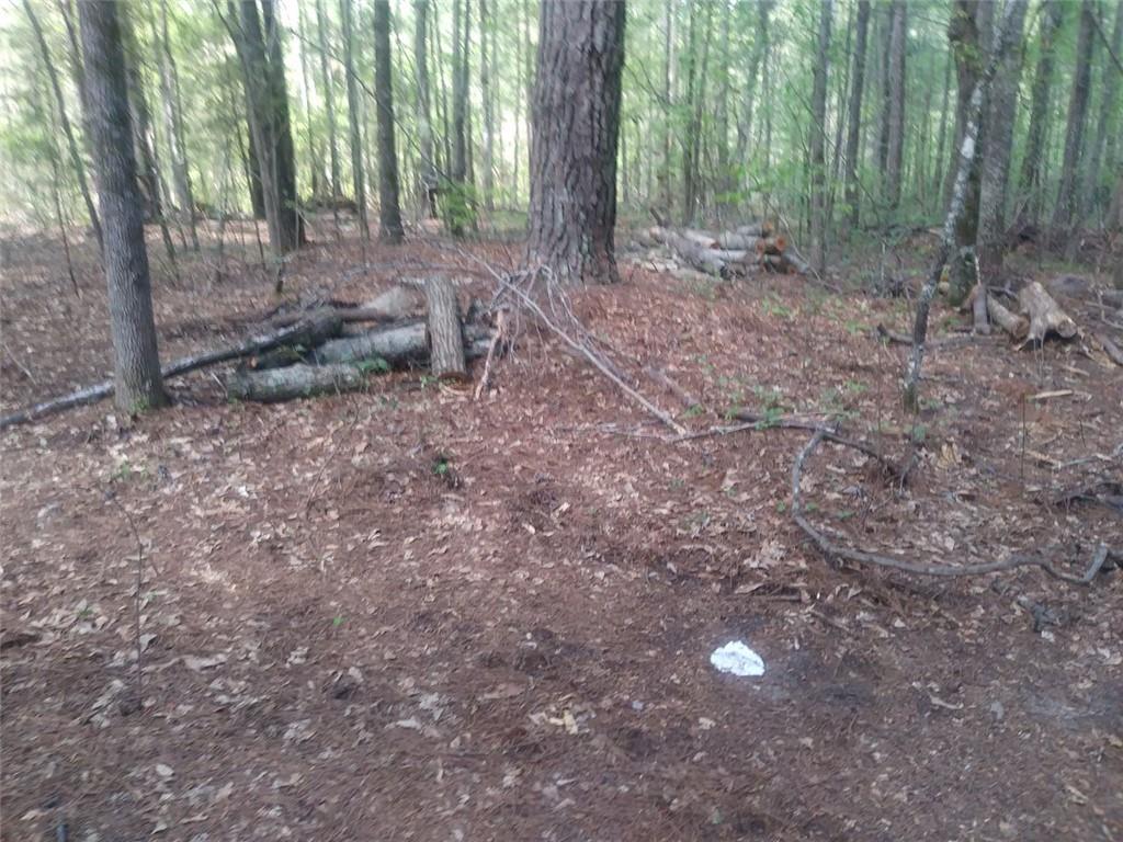 3107 Riviera Drive Conyers, GA 30012 - Photo 16 of 20