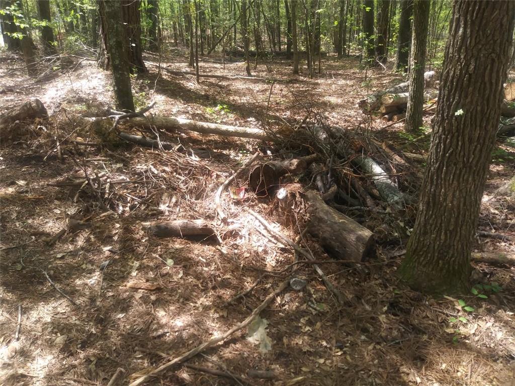 3107 Riviera Drive Conyers, GA 30012 - Photo 17 of 20