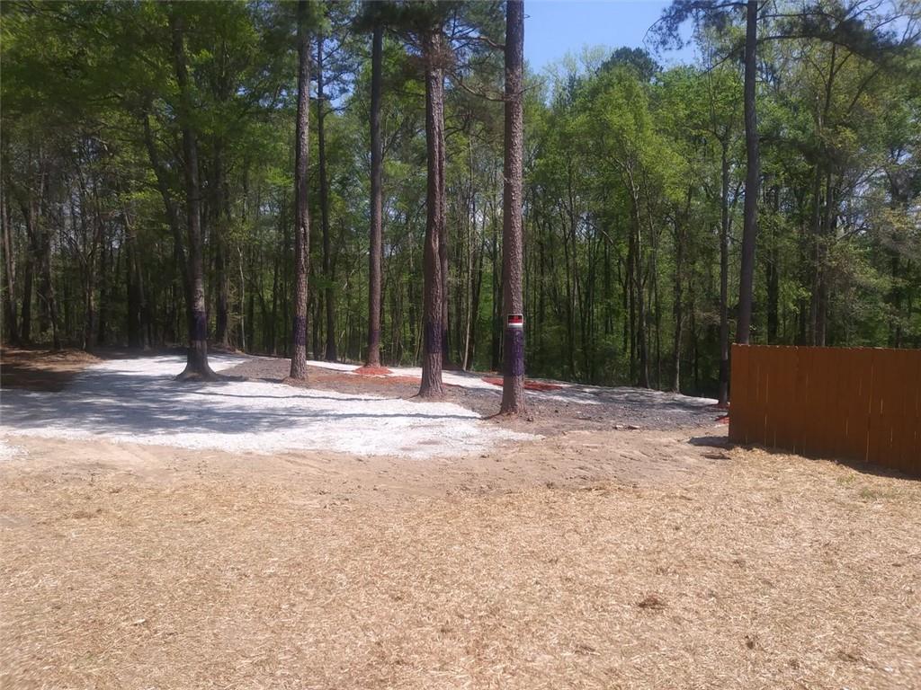 3107 Riviera Drive Conyers, GA 30012 - Photo 4 of 20