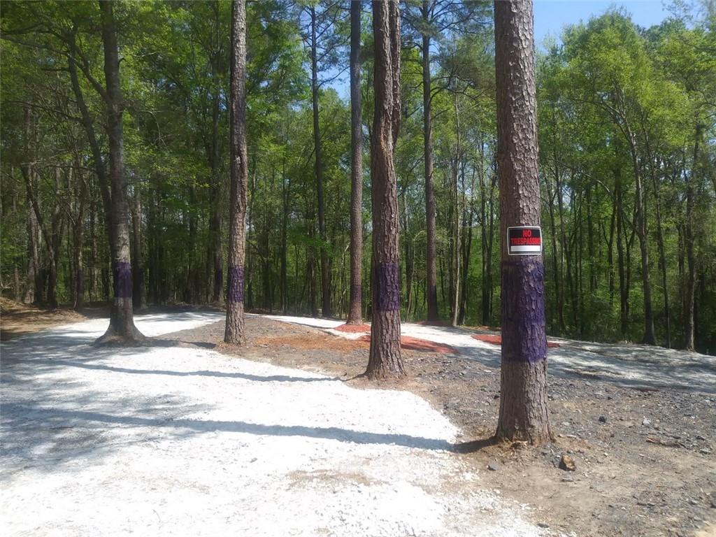 3107 Riviera Drive Conyers, GA 30012 - Photo 5 of 20