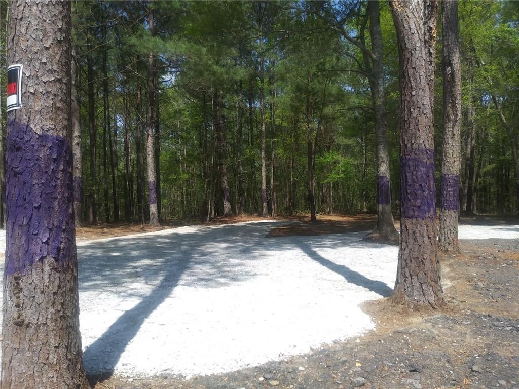 3107 Riviera Drive Conyers, GA 30012 - Photo 7 of 20