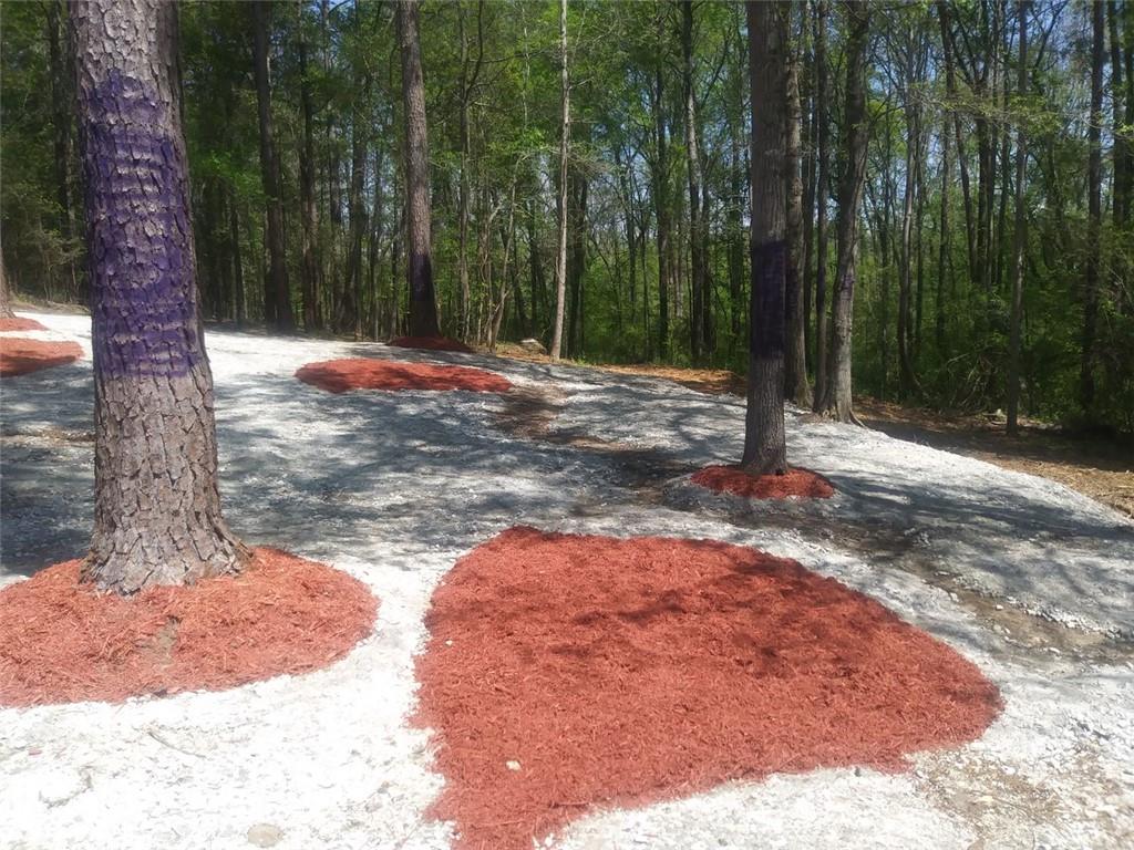 3107 Riviera Drive Conyers, GA 30012 - Photo 8 of 20