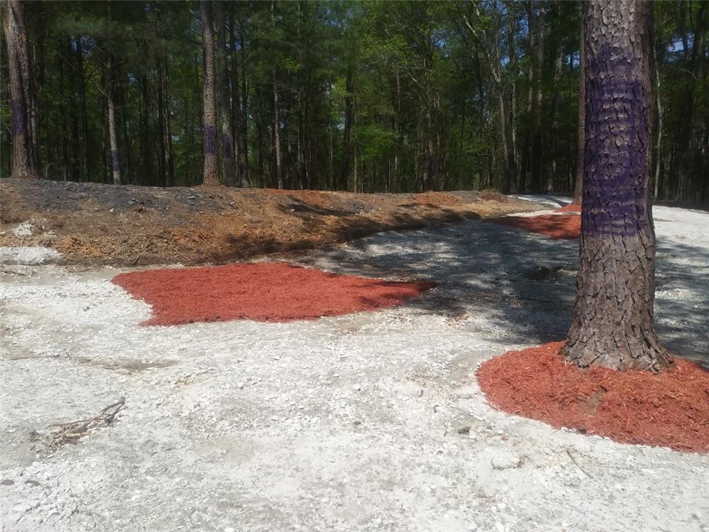 3107 Riviera Drive Conyers, GA 30012 - Photo 9 of 20