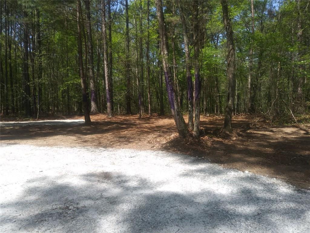 3107 Riviera Drive Conyers, GA 30012 - Photo 10 of 20