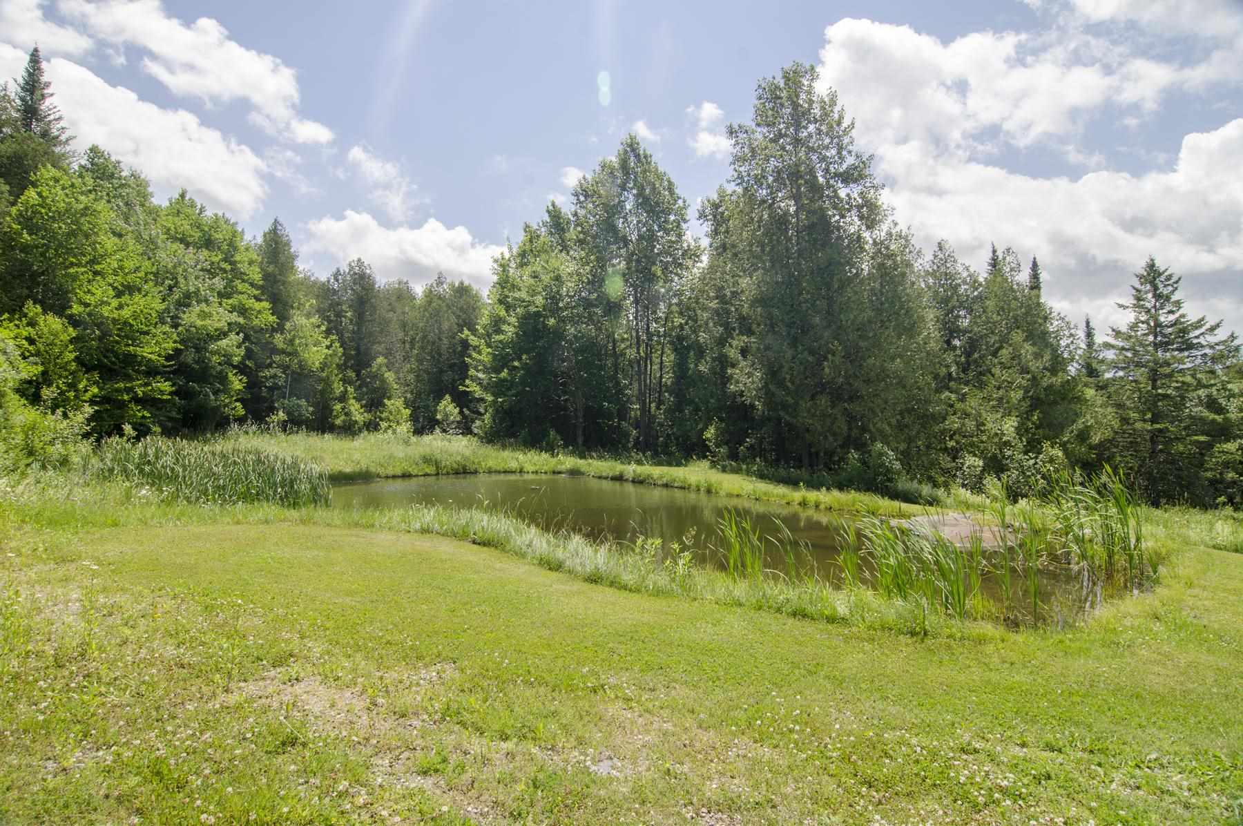278 Line Farm Road Holland, VT 05830 - Photo 10 of 32 Gallery Image 10