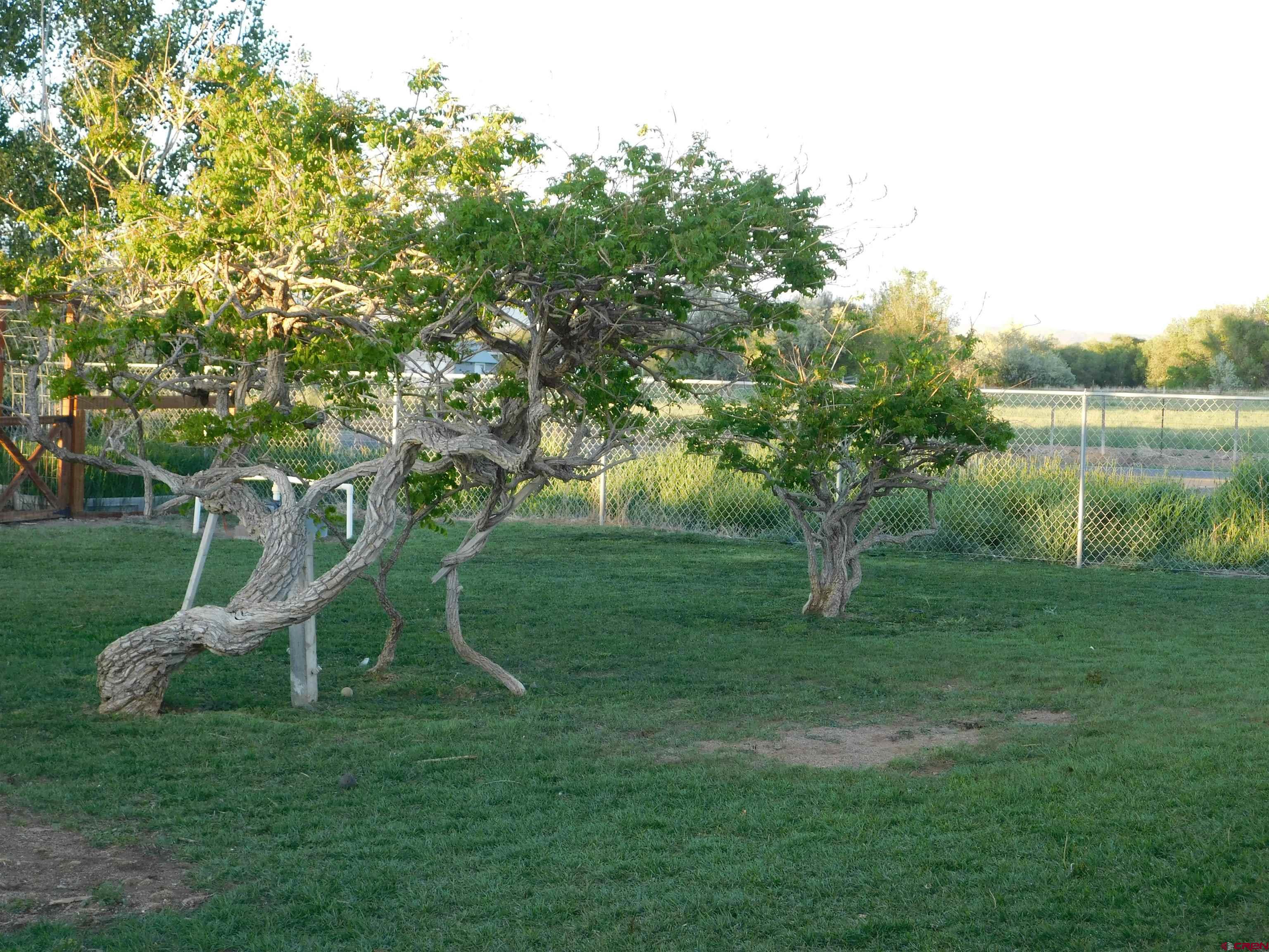 14977 F Road Delta, CO 81416 - Photo 34 of 45 a garden view