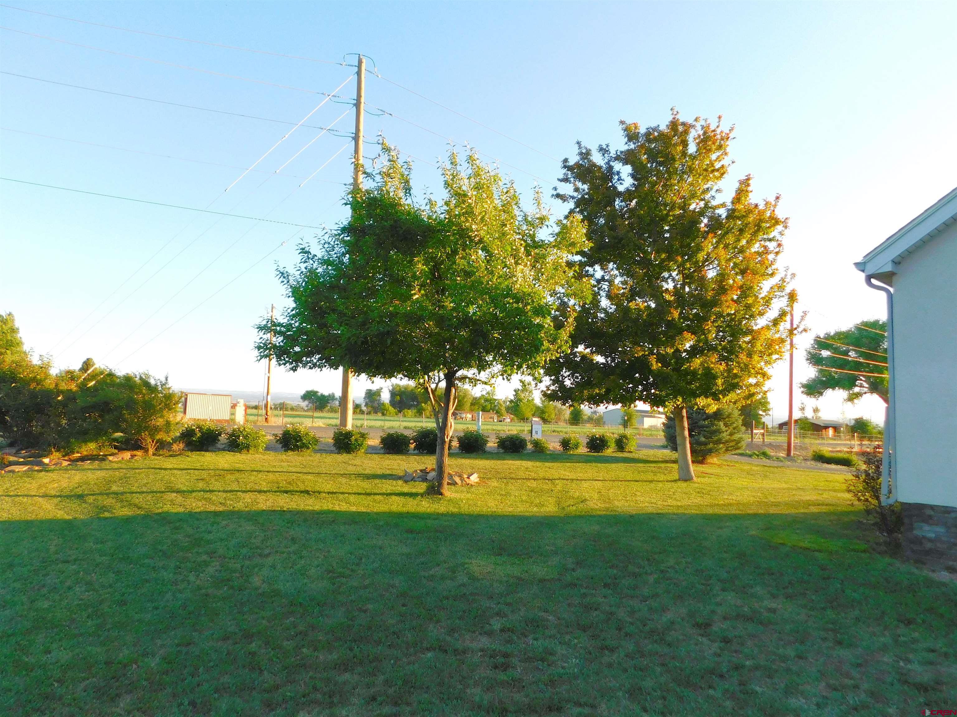 14977 F Road Delta, CO 81416 - Photo 41 of 45 a view of a park