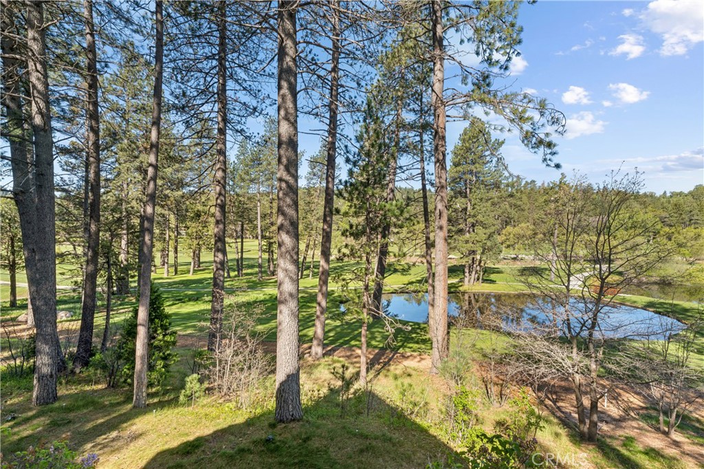 524 Golf Course Road Lake Arrowhead, CA 92352 - Photo 54 of 71
