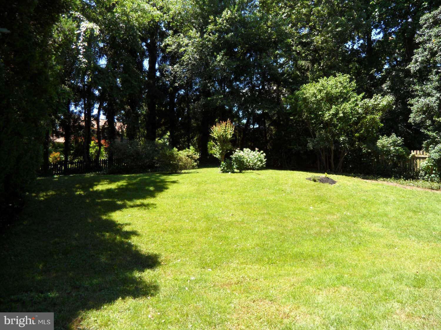 5908 Walhonding Road Bethesda, MD 20816 - Photo 26 of 26 a view of yard with green space