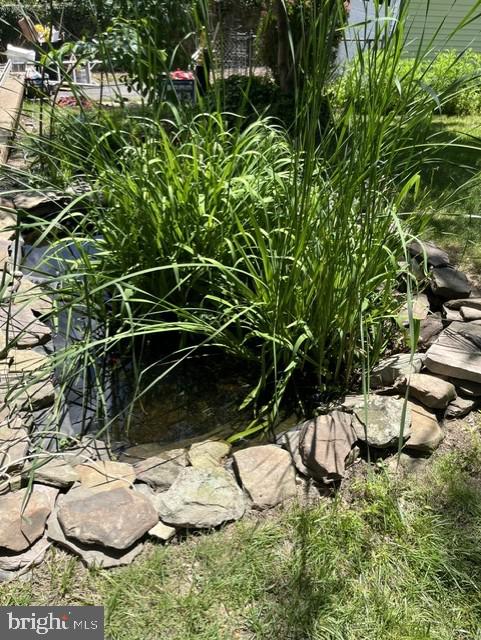 14 Hillside Road Claymont, DE 19703 - Photo 11 of 55 KOI Pond
