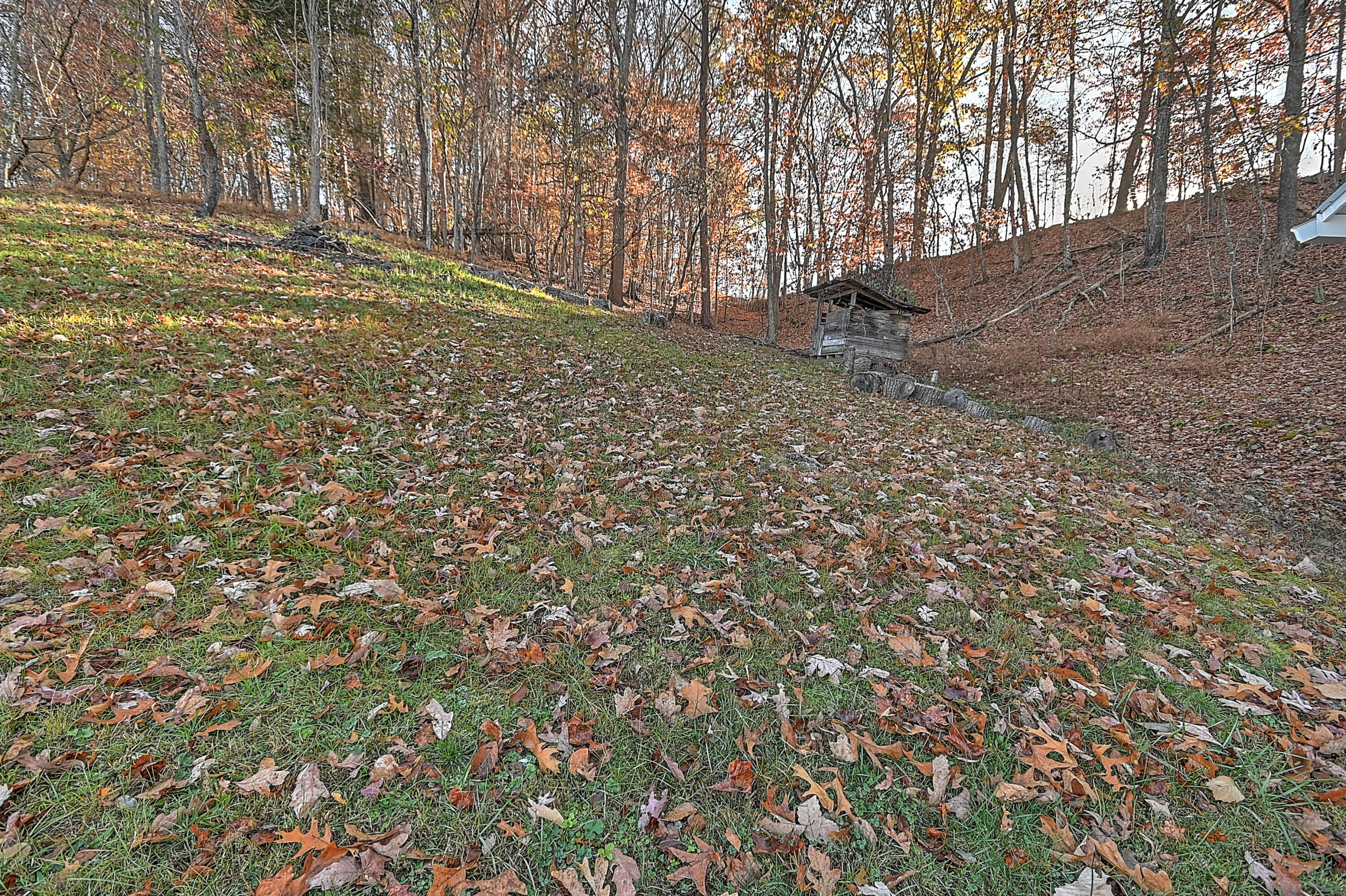 1462 Reed Hollow Road Gate City, VA 24251 - Photo 35 of 36 Reed Hollow-36