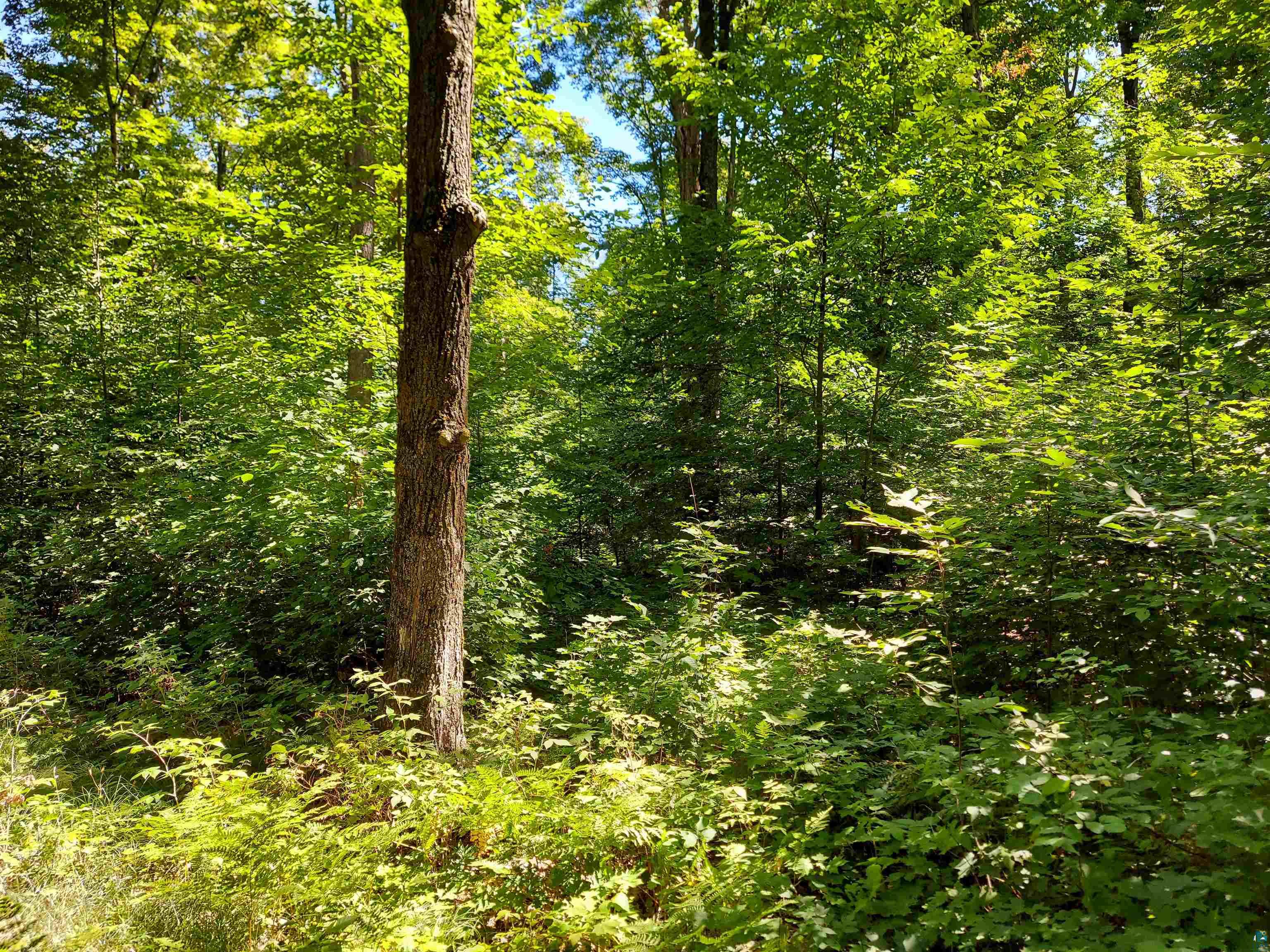 4 Corners Road Mason, WI 54856 - Photo 11 of 12