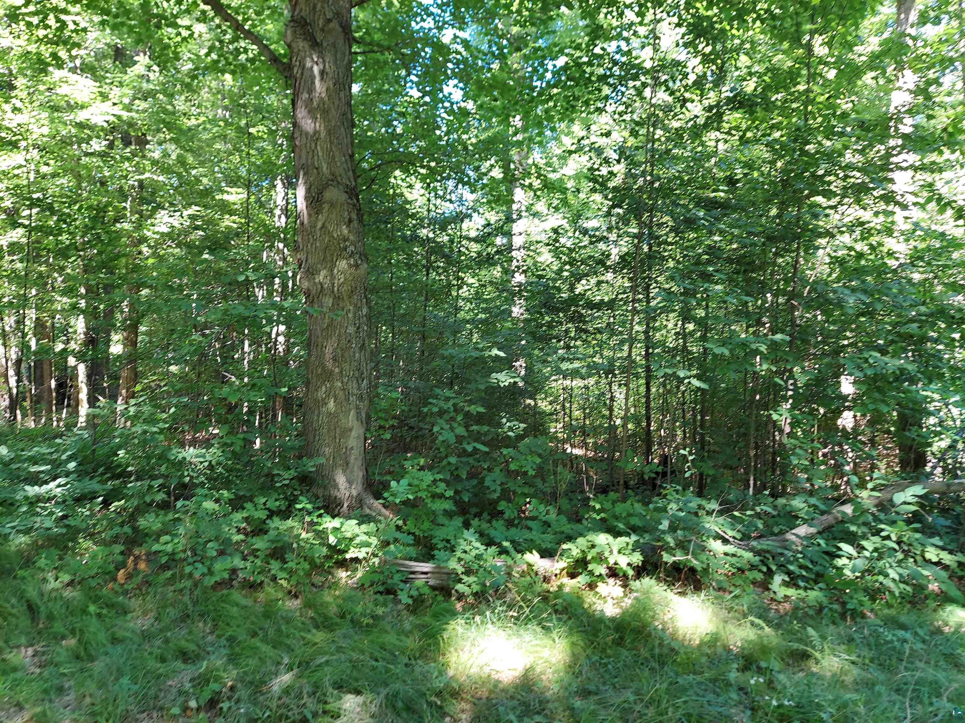 4 Corners Road Mason, WI 54856 - Photo 7 of 12