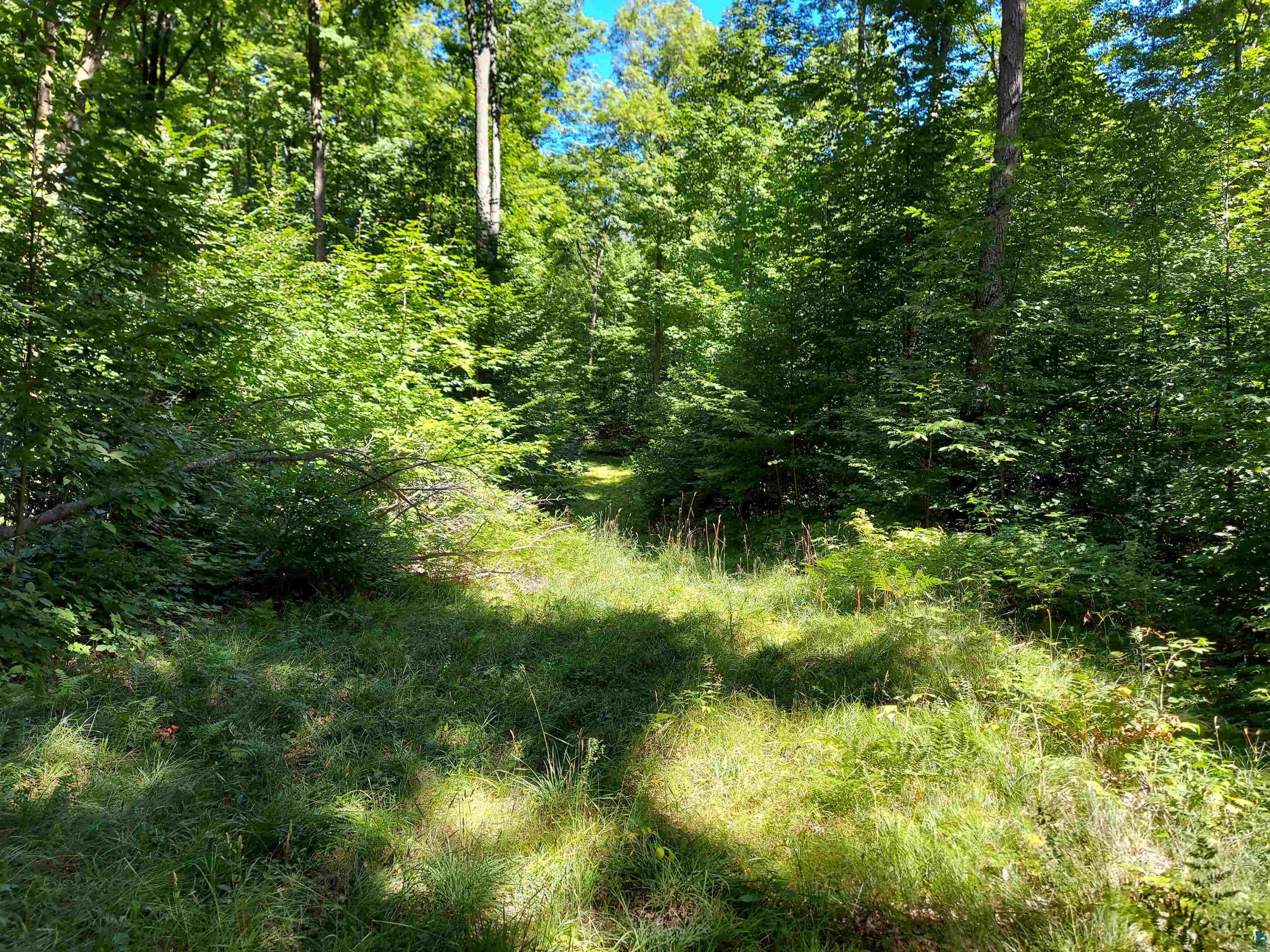 4 Corners Road Mason, WI 54856 - Photo 8 of 12