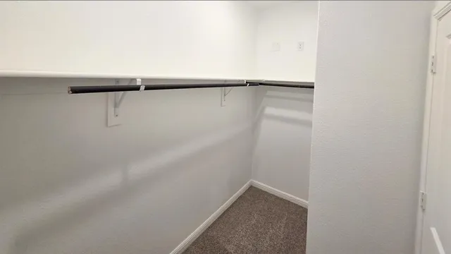 a bathroom with a shower and a toilet