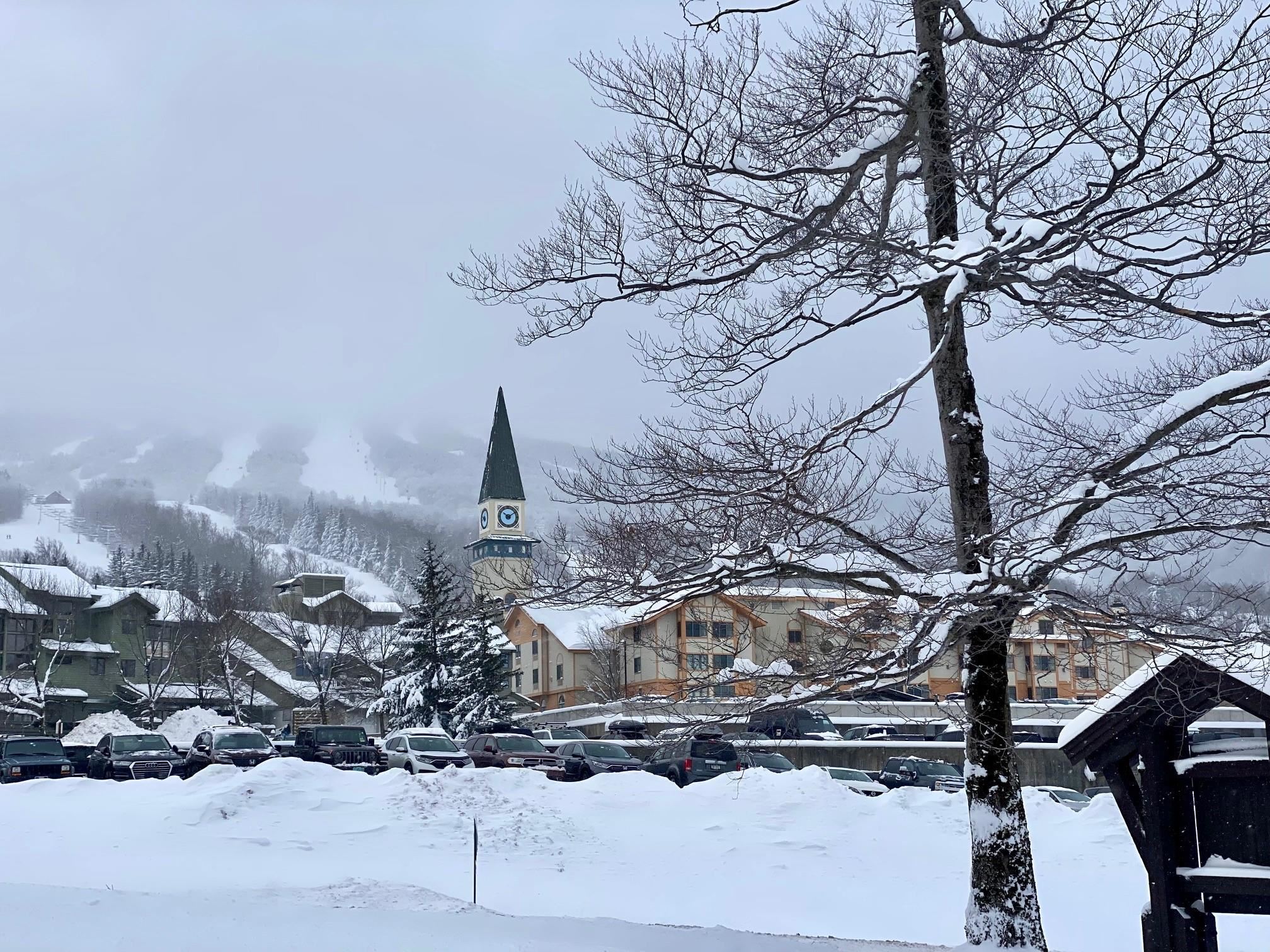 1 F Stratton Springs Road Stratton, VT 05155 - Photo 40 of 40