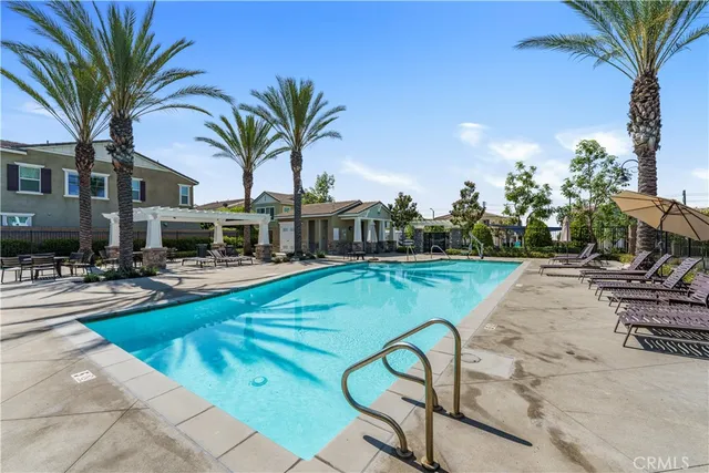 a view of swimming pool that has lawn chairs with plants and palm trees