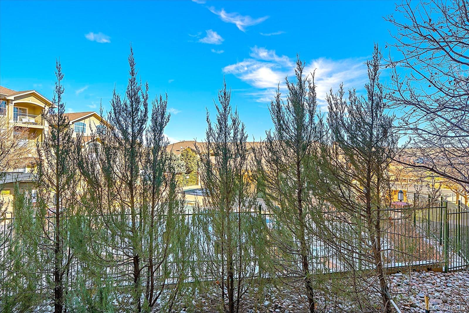 18611 Stroh Road, Unit 5102 Parker, CO 80134 - Photo 23 of 27