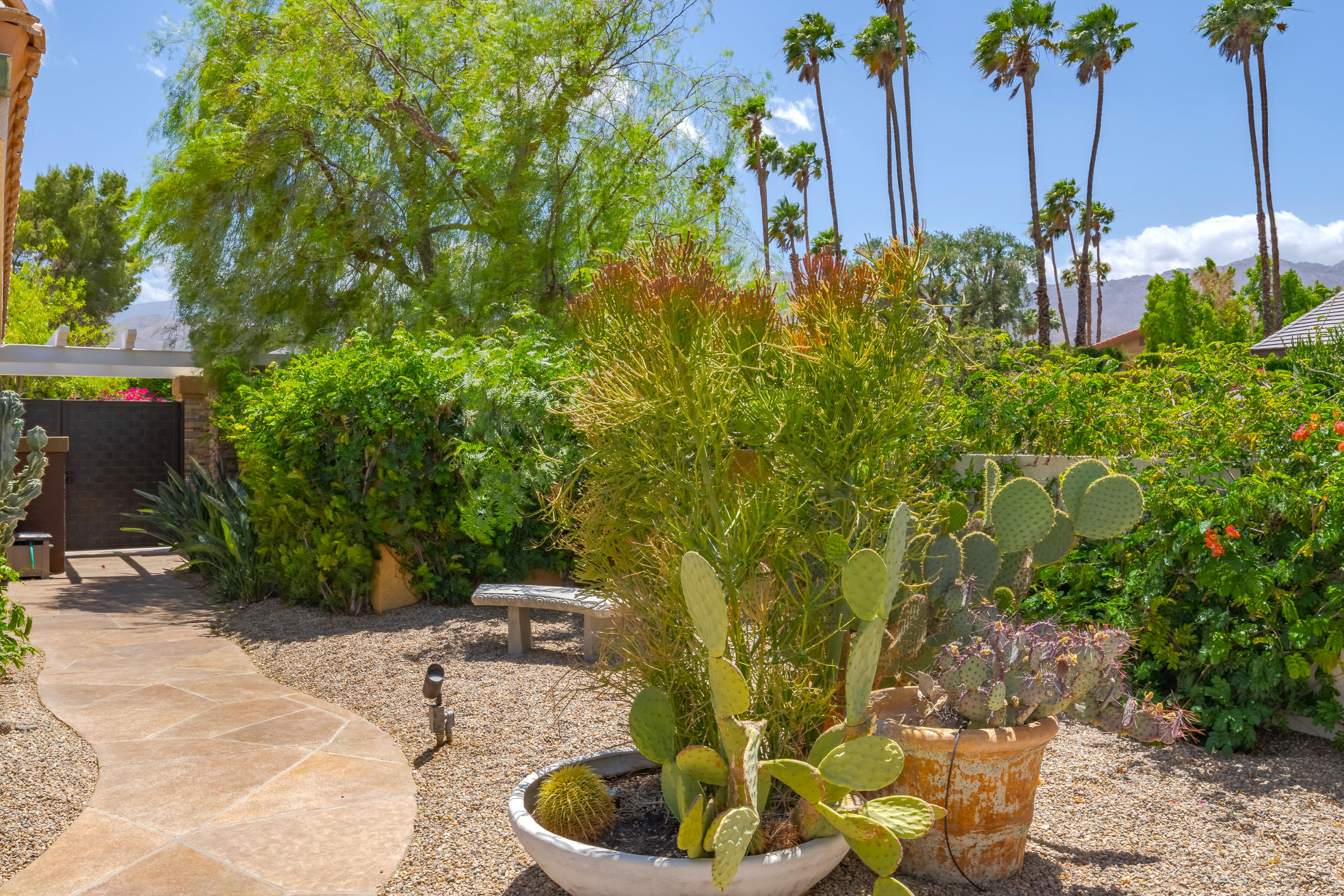 73005 Haystack Road Palm Desert, CA 92260 - Photo 3 of 45 a picture of plants