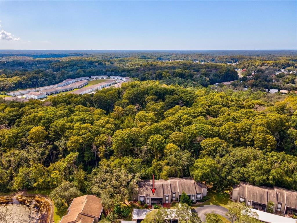 12035 Proctor Loop, Unit 5 New Port Richey, FL 34654 - Photo 53 of 77