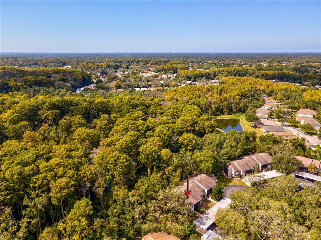 12035 Proctor Loop, Unit 5 New Port Richey, FL 34654 - Photo 54 of 77