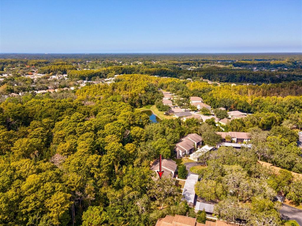 12035 Proctor Loop, Unit 5 New Port Richey, FL 34654 - Photo 55 of 77