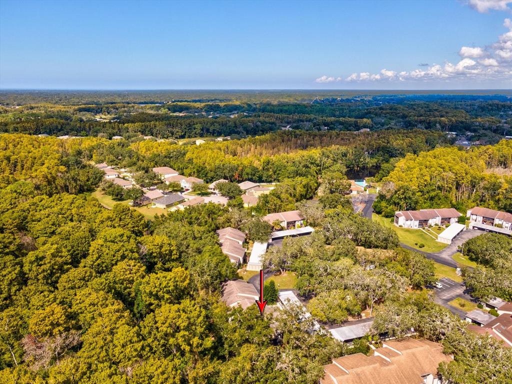 12035 Proctor Loop, Unit 5 New Port Richey, FL 34654 - Photo 56 of 77