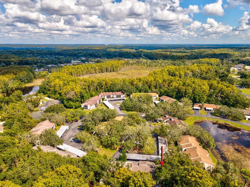 12035 Proctor Loop, Unit 5 New Port Richey, FL 34654 - Photo 57 of 77