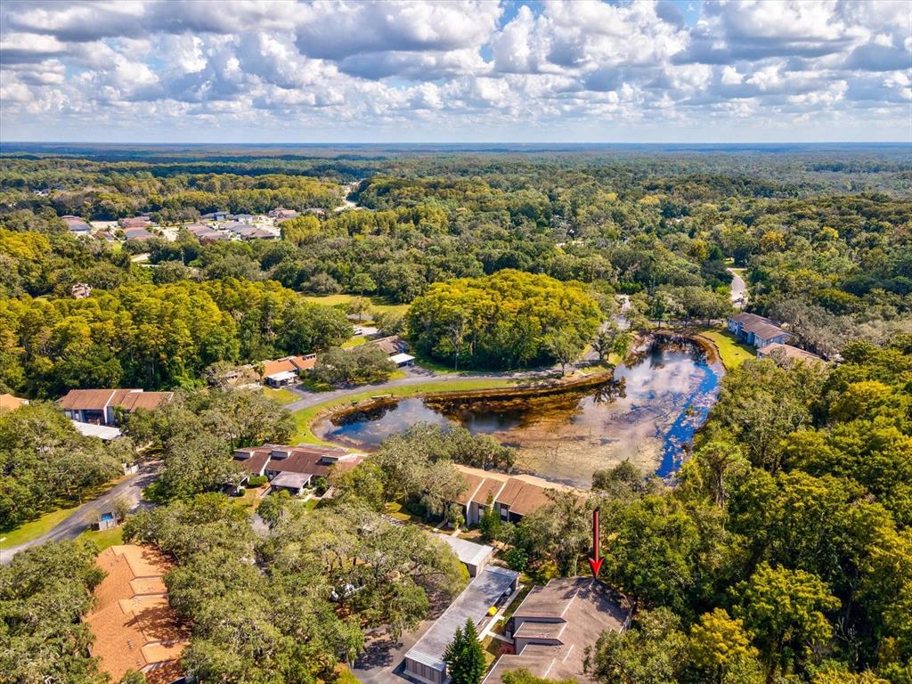 12035 Proctor Loop, Unit 5 New Port Richey, FL 34654 - Photo 58 of 77