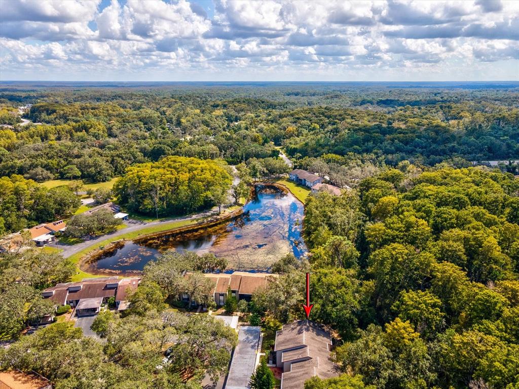 12035 Proctor Loop, Unit 5 New Port Richey, FL 34654 - Photo 59 of 77