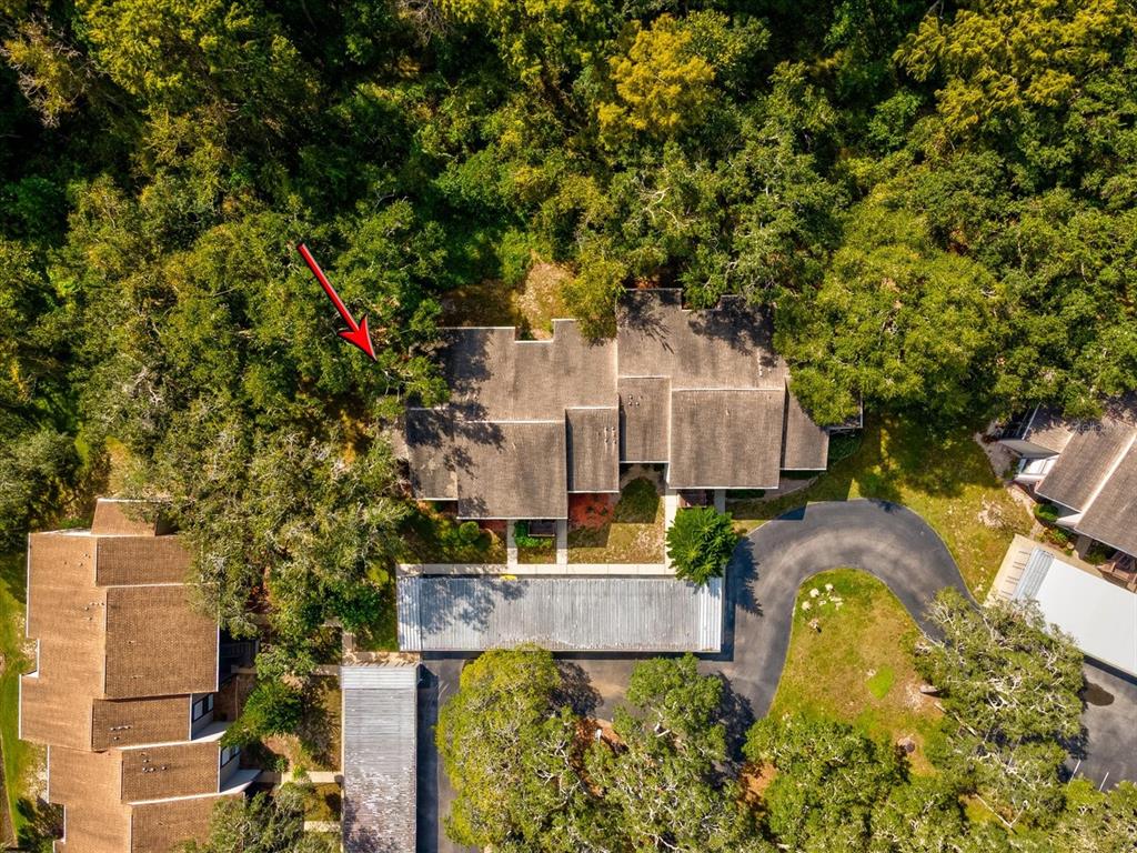 12035 Proctor Loop, Unit 5 New Port Richey, FL 34654 - Photo 60 of 77